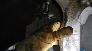 Замена ВСЕХ РЫЧАГОВ передней подвески Ауди А4 Б5, Ауди А6 С5, Пассат Б5