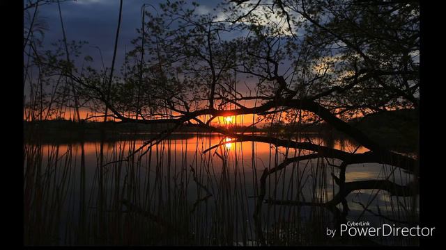 GreyLi - Любовь это загадка смотреть онлайн