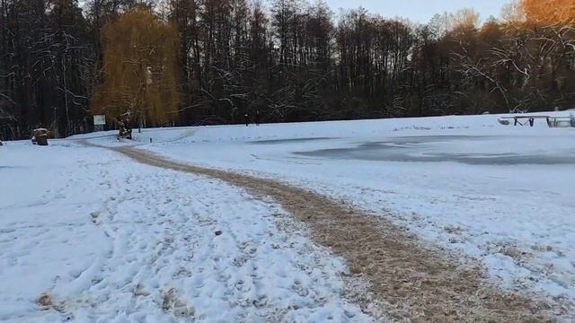 Пуща-Водица в снегу. Где снимался сериал "Сваты" и куда делась медведица? смотреть онлайн