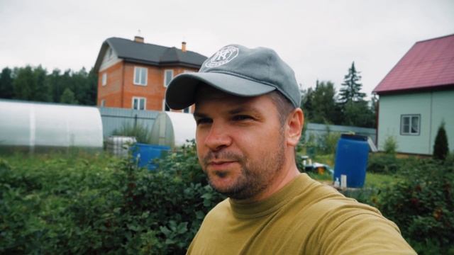 Борьба с борщевиком, поливаю томаты в теплице, выкопал молодую картошку. Жизнь в деревне. смотреть онлайн