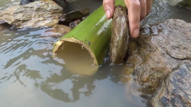 Primitive life - Smart girl skills build fish trap by bamboo tube catch a lot of fish for survival смотреть онлайн