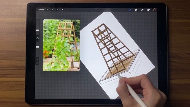 20 день челленджа. Рисуем огород - шпалеру для огурцов. Программа Procreate смотреть онлайн