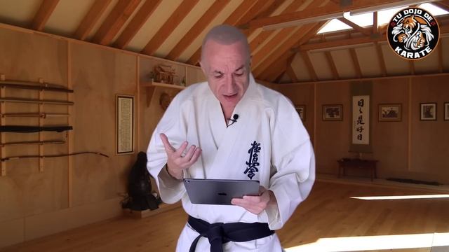 JAPONÉS para ARTISTAS MARCIALES ¿Qué quiere decir SENSEI?????????? смотреть онлайн