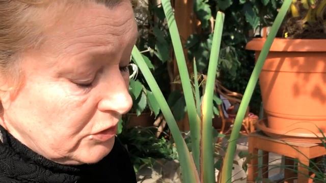 Посевной календарь 25.03. Выращиваем вместе с Биотехникой. 17-й выпуск. смотреть онлайн