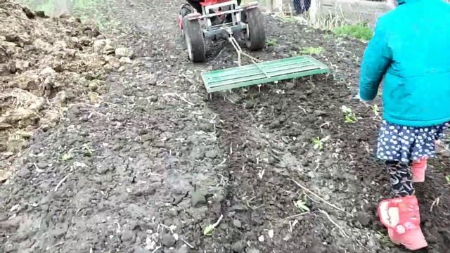 ✅Боронования мотоблоком МТЗ-09 и самодельным адаптером смотреть онлайн