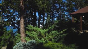 Парк-отель «Небуг»