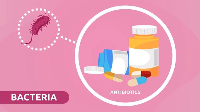 What Are Microorganisms? Bacteria, Viruses And Fungi