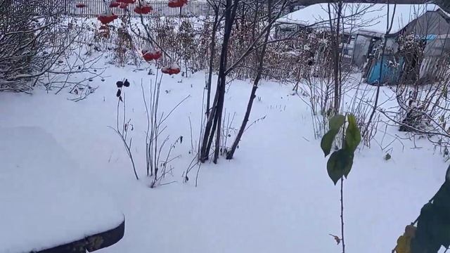 ?❄Как всегда, неожиданно наступила зима! ❄? смотреть онлайн