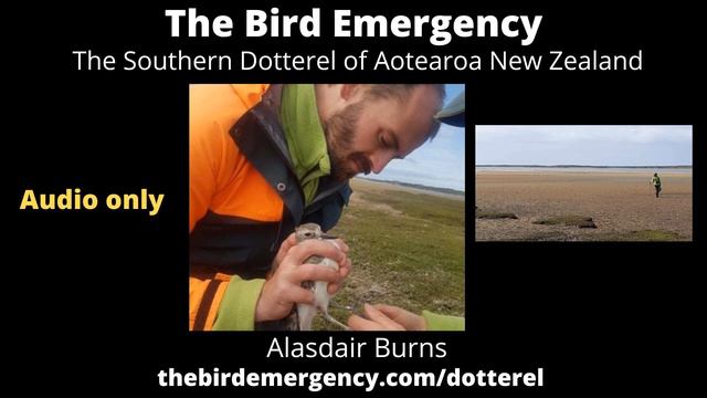 077 Aotearoa Southern Dotterel смотреть онлайн