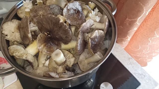 ЭКОНОМНОЕ МЕНЮ НА ДЕНЬ☀ Грибы в соусе? Овсяные панкейки? Манник?Необычный суп??? смотреть онлайн