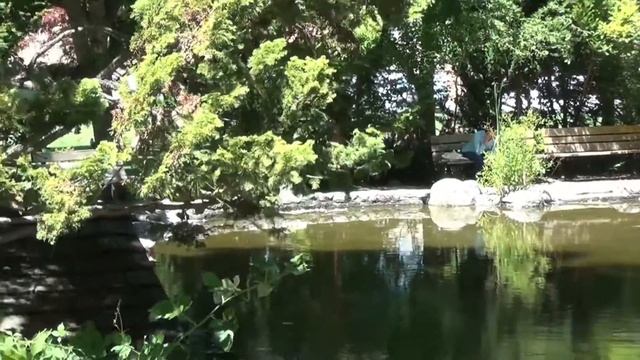 Lithia Park in Ashland, Oregon смотреть онлайн