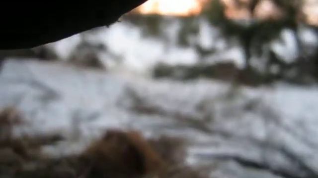 Разведение костра с помощью огнива и собаки-Чарли смотреть онлайн