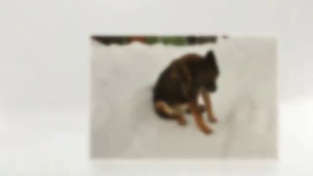 Простой и элегантный. Видео из фото смотреть онлайн