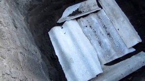 Посадка деревьев при близком залегании подземных вод.