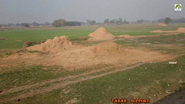 Pakistan Railway Journey Rohri To Jacobabad Travel By Train смотреть онлайн