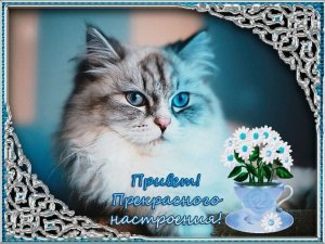 Музыкальная открытка. Добрый день!