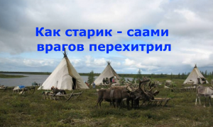 Муниципальный фестиваль авторских мультфильмов «Сказки Кольского Севера»
Участники МБДОУ № 14