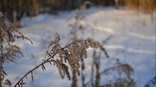 Рус. Волшебница Зима смотреть онлайн