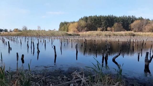 Влог. Выходной на природе. Старая мельница. смотреть онлайн