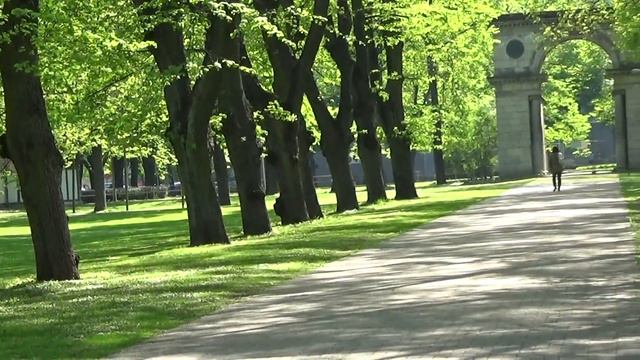 Обзор Риги. Аллея в парке. смотреть онлайн