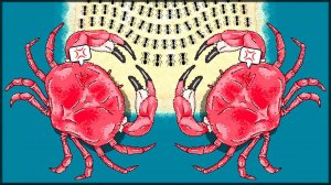 КРАБОВЫЙ ПЛЯЖ! ПОЛНОЕ ПРОХОЖДЕНИЕ КЛАНОВОГО КООПЕРАТИВА | БОСС КРАБ - Pocket Ants: Симулятор Колонии