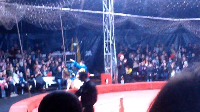 Обезьяна на пони смотреть онлайн