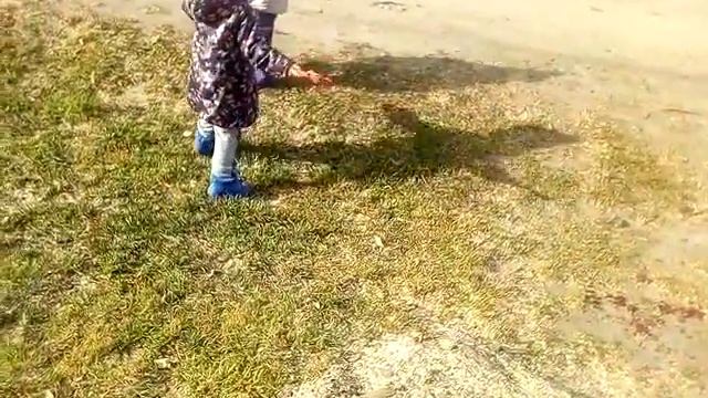 Танцы в машине. Не большая прогулка. Все заболели. 09.10.18 смотреть онлайн