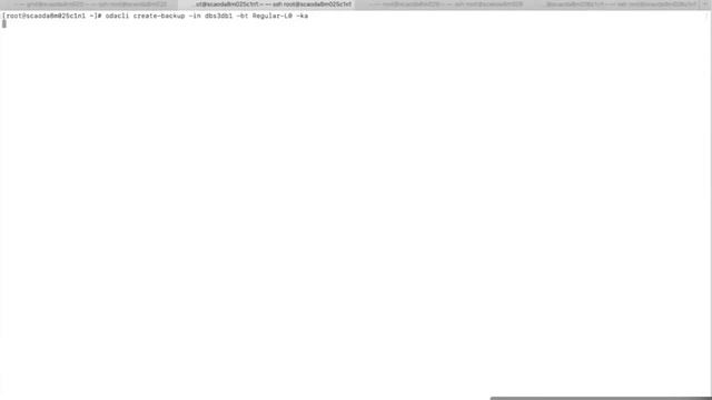 Oracle Database Appliance with Integrated Data Guard (Database in KVM) смотреть онлайн