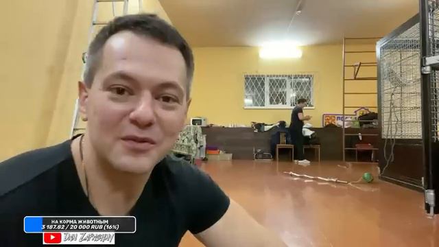 НОВОСТИ СЕГОДНЯ / Стрим - Дан Запашный и Шимпанзе Боня отвечают на вопросы 17.12.2022 смотреть онлайн