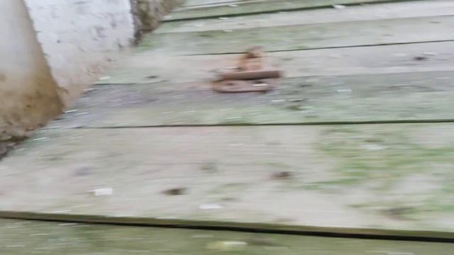 Разбрасыватель удобрений рум / мву / мвд-900 смотреть онлайн