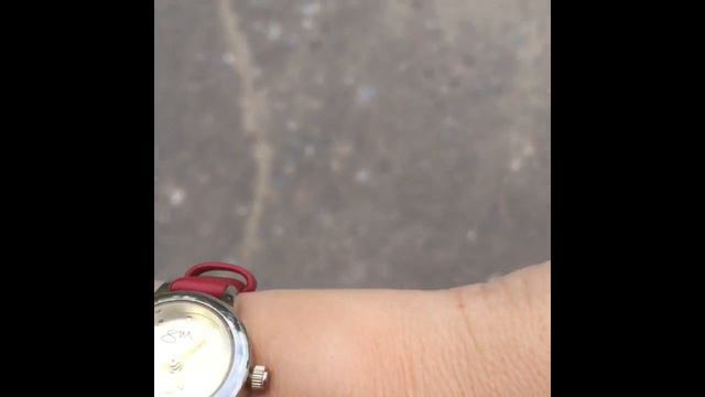 Неудачная прогулка 😟🤨 смотреть онлайн