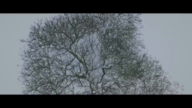 Экстаз Дублированный трейлер HD.mp4 смотреть онлайн