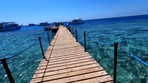 Египет ?? Фарша Выводы о Faraana Reef Resort4* Шарм Эль Шейх / Бухта Рас–Ум–Сид.