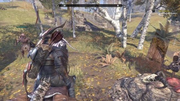 The Elder Scrolls Online (STEAM PC) Gameplay 1080p60