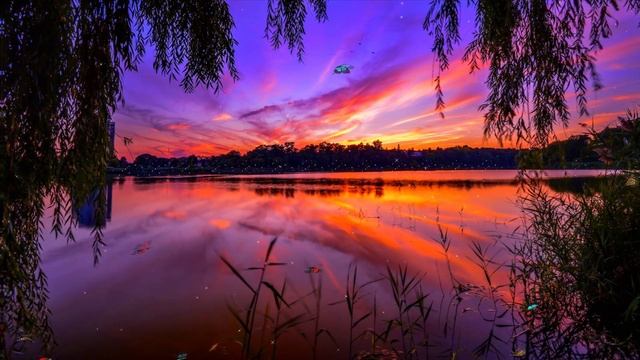 Зорька Алая Сказочно Красивый Футаж Живое фото для Ваших Видео HD смотреть онлайн