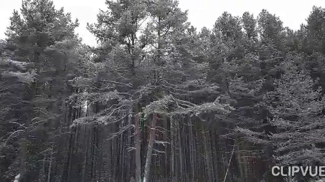 ОКОЛДОВАН НЕВИДИМКОЙ .... смотреть онлайн