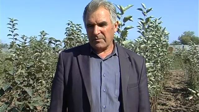 Особенности посадки растений осенью смотреть онлайн