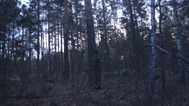 Глухариный ток. Первый опыт смотреть онлайн