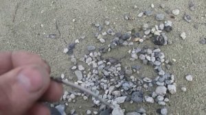 Коп со скубом   Minelab Sovereign Metal detecting with scoop