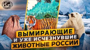 Красное и черное |  @rgo_films