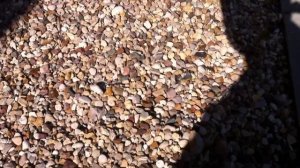 Самая дешёвая отмостка из гравия и дренажной мембраны плантер