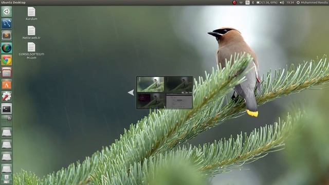 PhpStorm 8 Ubuntu 15.04 / 14.10 /14.04 üzerinde tar.gz dosyasından command line ile kurulumu Part смотреть онлайн