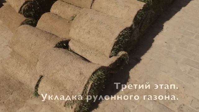 Укладка газонного рулона смотреть онлайн