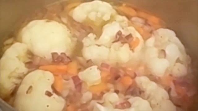 Наука о Животных и их Поведение