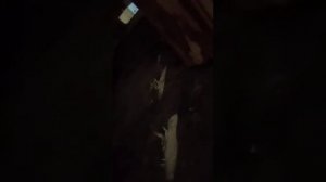 почистил комин)))