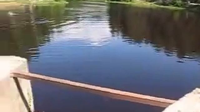 Сертолово Ленинградская обл. смотреть онлайн