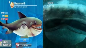 Hungry Shark World in Real Life Part 5