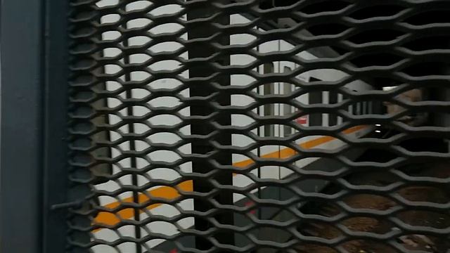 ЭП2Д-0052 ЦППК Перекраска Наше Подмосковье На станции Трикотажная смотреть онлайн