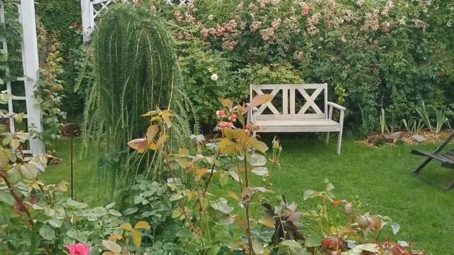 Дорожки из щебня и дерева в фарфоровом саду. Эстетично и функционально смотреть онлайн