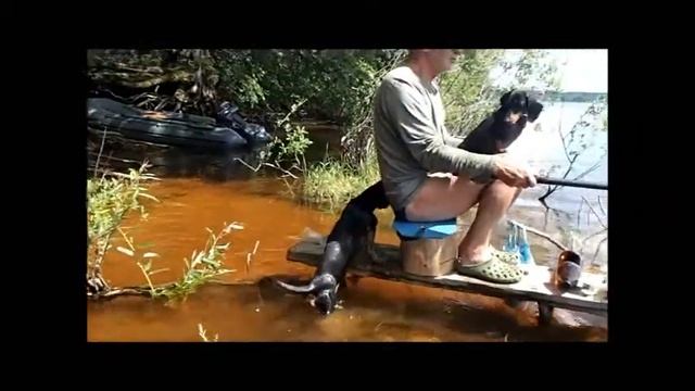 Уклейка смотреть онлайн